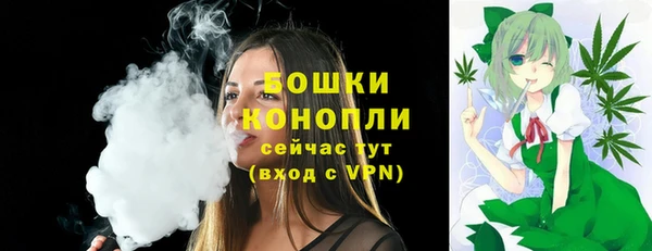 крисы Заводоуковск