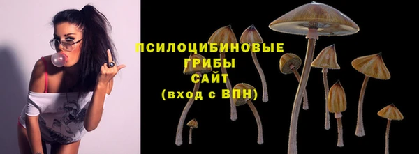 крисы Заводоуковск