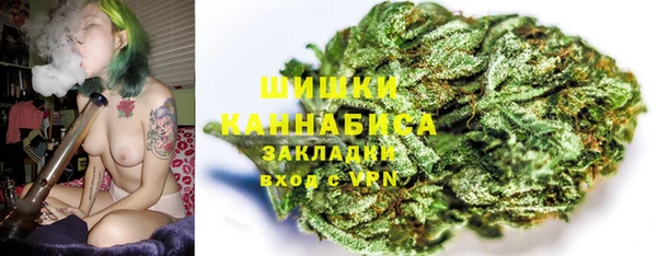 крисы Заводоуковск
