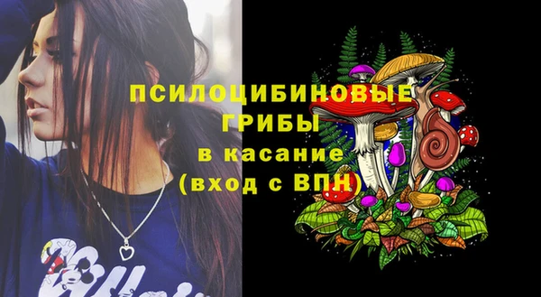 крисы Заводоуковск