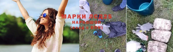 крисы Заводоуковск